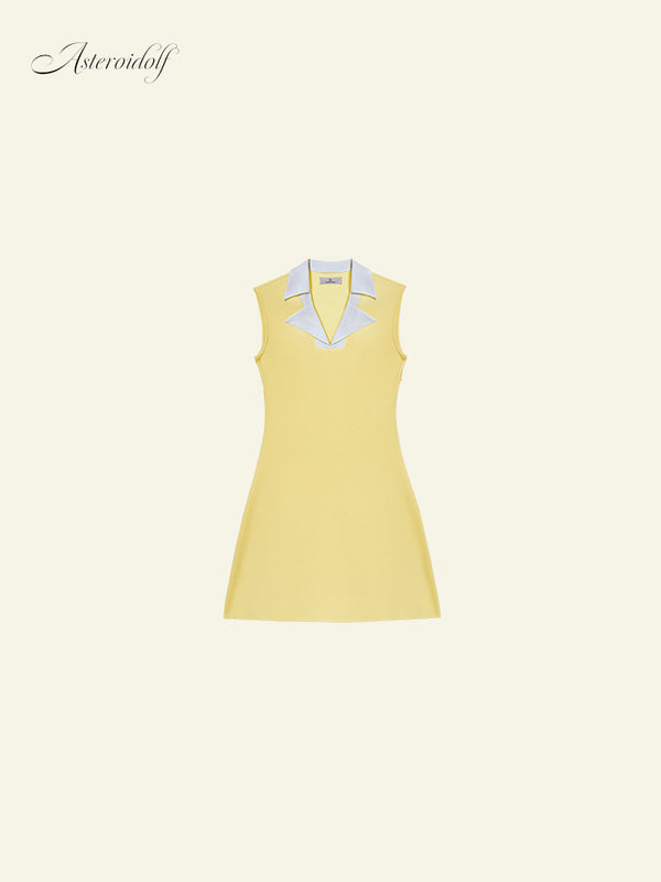 Poshy Sleeveless Dress